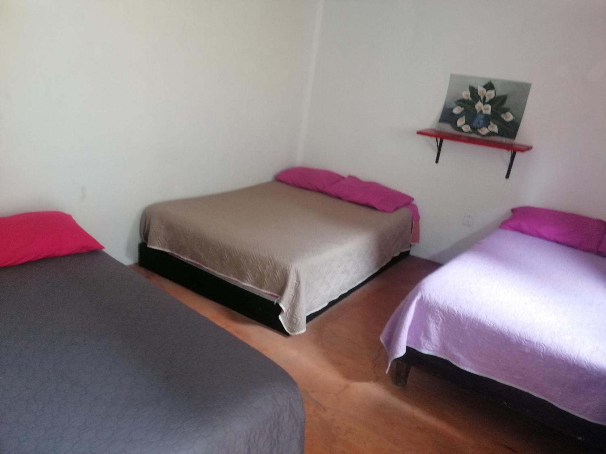 Casita Del Arbol Apartment Mexico City Room photo